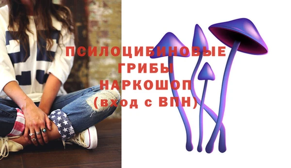 первитин Дмитров