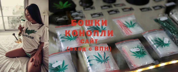 прущая мука Дмитриев