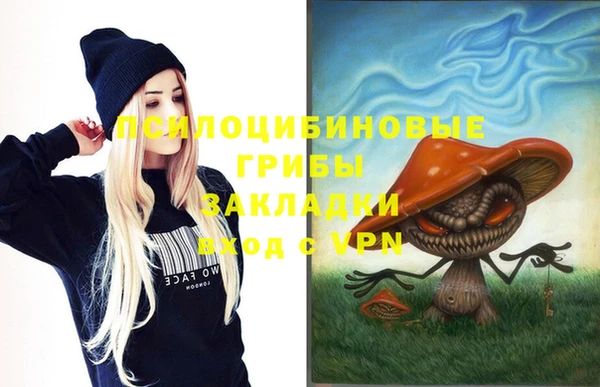 первитин Дмитров