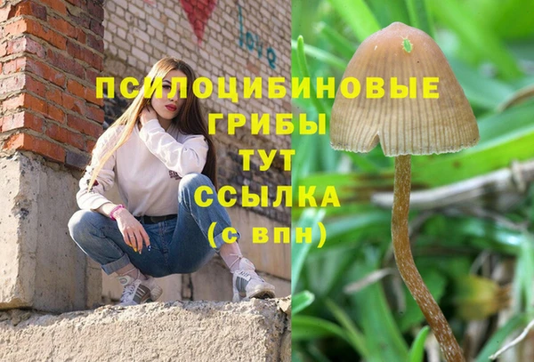 прущая мука Дмитриев