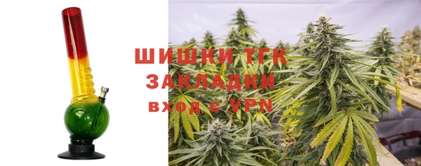 прущая мука Дмитриев