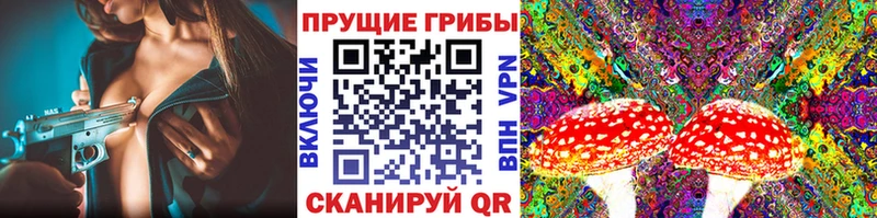 закладки  KRAKEN сайт  Галлюциногенные грибы Magic Shrooms  Пятигорск 