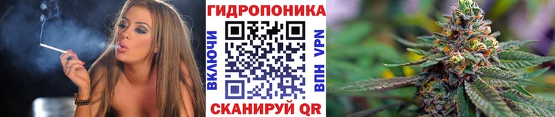 МАРИХУАНА индика  купить наркотики цена  Пятигорск 